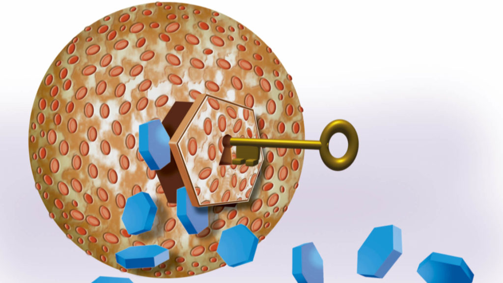 Insulinresistens - Nøkkel - Blodsjekk