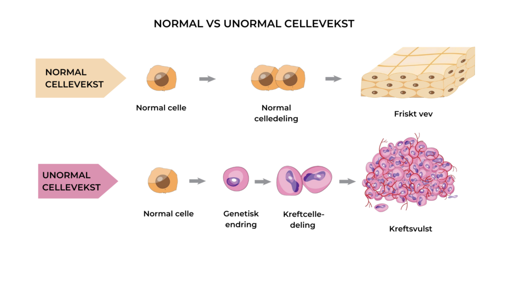 Celledeling og vekst styres av gener som starter og stopper vekstprosessen. Ved kreft har det oppstått endringer (mutasjoner) i disse vekstkontrollerende genene, slik at cellene deler seg ukontrollert. 