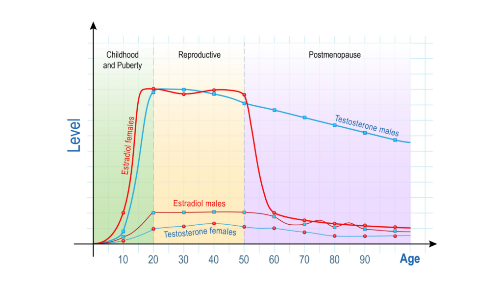 Nivået av kjønnshormoner varierer i forhold til kjønn og alder. 