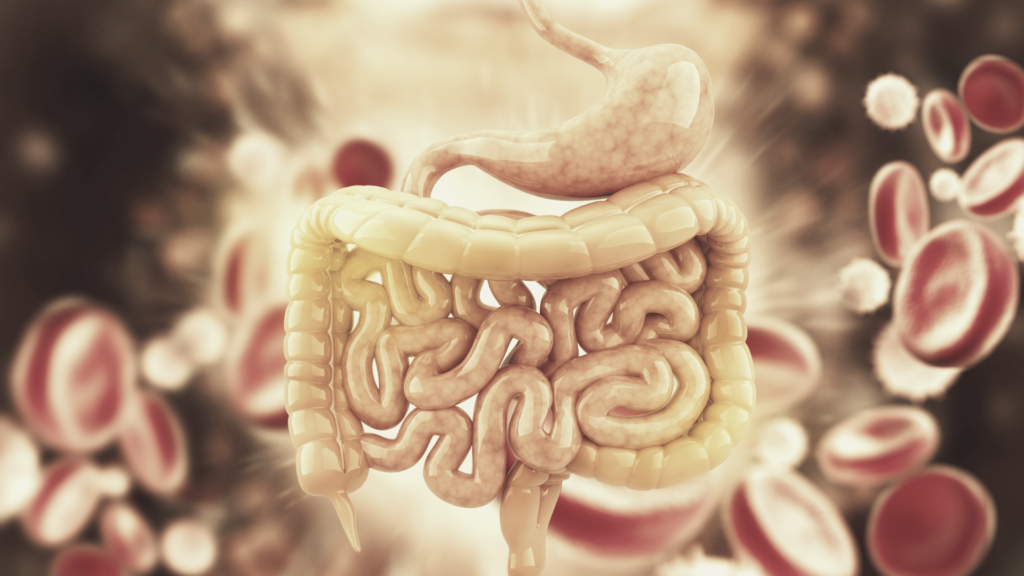 Blodig avføring er ikke uvanlig og kan forårsakes av alt fra harmløse tilstander til alvorlig sykdom. 