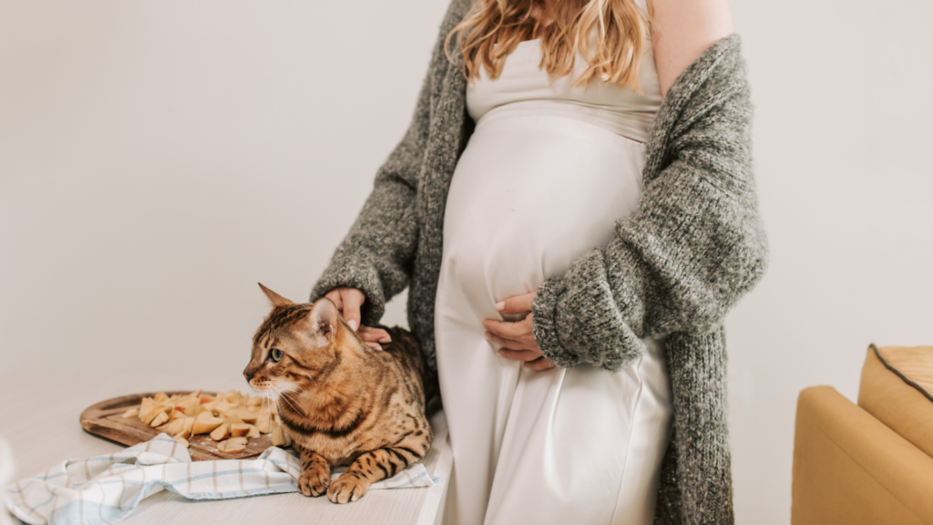 Gravide som ikke har hatt infeksjonen med parasitten Tocoplasma gondii tidligere og som blir smittet under svangerskapet kan overføre smitten til fosteret.