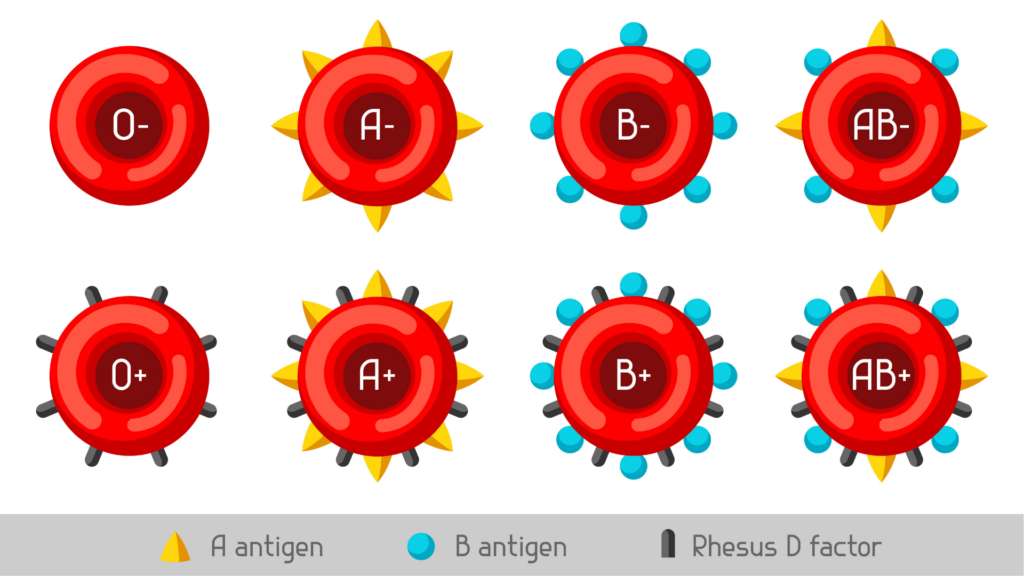 Ved svangerskapskontroll tilbys alle gravide en undersøkelse for å bestemme sin ABO- og RhD-blodtype og blodtypeantistoffer i svangerskapet.