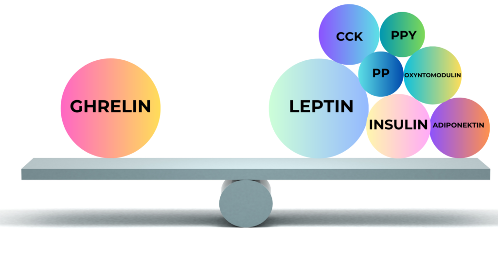 Kroppens ernæringstilstand overvåkes og reguleres kontinuerlig via hemmende og stimulerende signalstoffer.