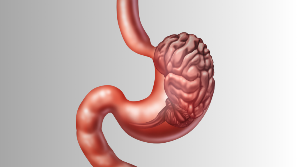 Det er hjernen som har det overordnede ansvaret for reguleringen av kroppens energiomsetning, appetitt og vekt.
